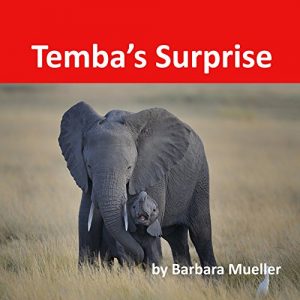 Baixar Temba’s Surprise (English Edition) pdf, epub, eBook