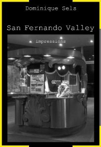 Baixar San Fernando Valley (impressions) (French Edition) pdf, epub, eBook