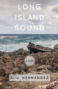 Baixar Long Island Sound (English Edition) pdf, epub, eBook