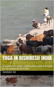 Baixar Yoga in Rishikesh India: A guide for yoga, spirituality and ashrams in an Indian holy town (English Edition) pdf, epub, eBook