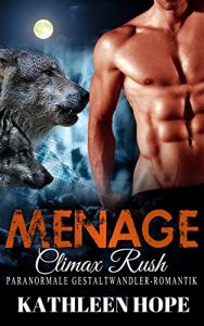 Baixar Menage: Climax Rush (German Edition) pdf, epub, eBook