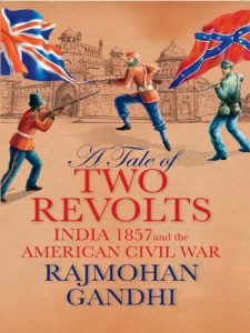 Baixar A Tale of Two Revolts pdf, epub, eBook