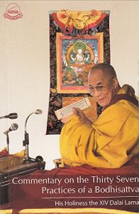 Baixar Commentary on the Thirty Seven Practices of Bodhisattva (English Edition) pdf, epub, eBook