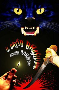 Baixar Il gatto brasiliano e altri racconti (Italian Edition) pdf, epub, eBook