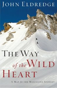 Baixar The Way of the Wild Heart: A Map for the Masculine Journey pdf, epub, eBook