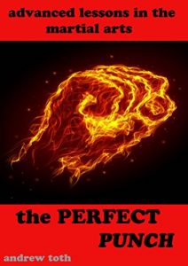 Baixar The Perfect Punch – Advanced Lessons in Martial Arts (Martial Arts Series Book 2) (English Edition) pdf, epub, eBook