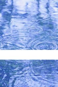 Baixar Le Cygne (Pygmalions t. 1) (French Edition) pdf, epub, eBook