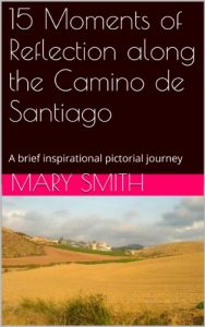 Baixar 15 Moments of Reflection along the Camino de Santiago (English Edition) pdf, epub, eBook