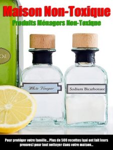 Baixar Maison non-toxique (French Edition) pdf, epub, eBook