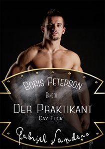 Baixar Boris Peterson – Der Praktikant: Gay Fuck (German Edition) pdf, epub, eBook