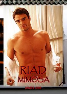 Baixar RIAD MIMOSA (German Edition) pdf, epub, eBook