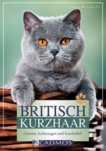 Baixar Britisch Kurzhaar: Charme, Kulleraugen und Kuschelfell (Katzen) (German Edition) pdf, epub, eBook