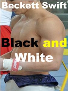 Baixar Black and White (English Edition) pdf, epub, eBook