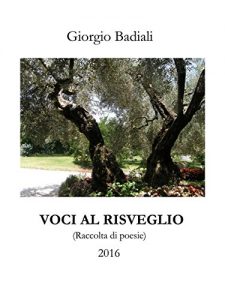 Baixar Voci al risveglio pdf, epub, eBook