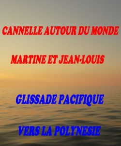 Baixar GLISSADE PACIFIQUE VERS LA POLYNESIE (CANNELLE AUTOUR DU MONDE t. 5) (French Edition) pdf, epub, eBook