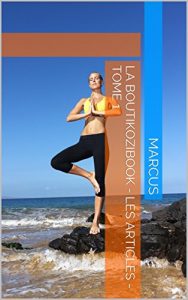Baixar La Boutikozibook – Les Articles – Tome 1 (French Edition) pdf, epub, eBook