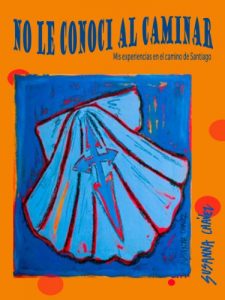 Baixar no le conoci al caminar (Spanish Edition) pdf, epub, eBook