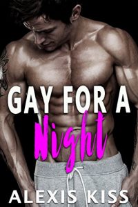 Baixar Gay For A Night (English Edition) pdf, epub, eBook