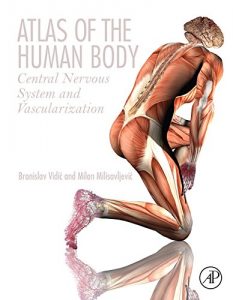 Baixar Atlas of the Human Body: Central Nervous System and Vascularization pdf, epub, eBook