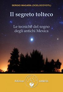 Baixar Il segreto tolteco: Le tecniche del sogno degli antichi Mexica pdf, epub, eBook