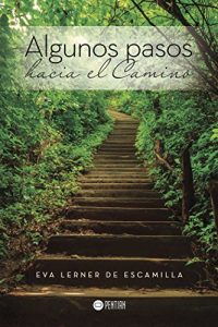 Baixar Algunos pasos hacia el Camino (Spanish Edition) pdf, epub, eBook