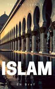 Baixar Islam: en bref (French Edition) pdf, epub, eBook