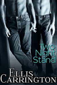 Baixar Two Night Stand (English Edition) pdf, epub, eBook