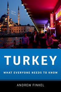 Baixar Turkey: What Everyone Needs to Know? pdf, epub, eBook