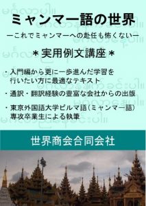 Baixar The world of  Burmese Real example sentences lecture (Japanese Edition) pdf, epub, eBook