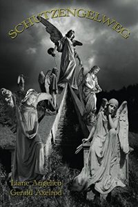 Baixar Schutzengelweg (German Edition) pdf, epub, eBook