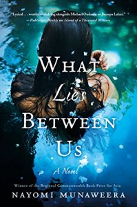 Baixar What Lies Between Us: A Novel pdf, epub, eBook