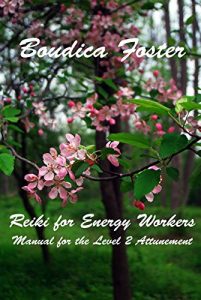 Baixar Reiki for Energy Workers 2: Manual for the Level 2 Attunement (English Edition) pdf, epub, eBook