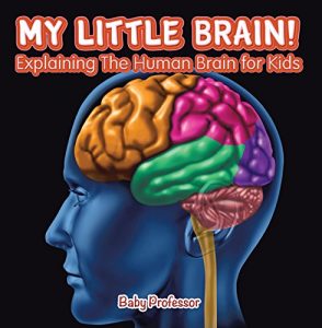 Baixar My Little Brain! – Explaining The Human Brain for Kids pdf, epub, eBook