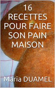 Baixar 16 RECETTES POUR FAIRE SON PAIN MAISON (French Edition) pdf, epub, eBook