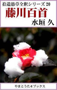 Baixar Hujikawa Hyakusyu Zensyaku Syuuigusou Zensyaku series (Japanese Edition) pdf, epub, eBook