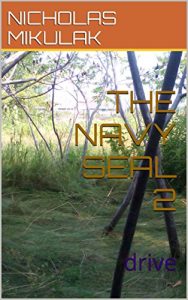 Baixar THE NAVY SEAL 2: drive (English Edition) pdf, epub, eBook