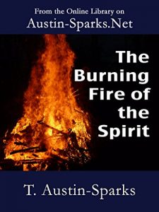 Baixar The Burning Fire of the Spirit (English Edition) pdf, epub, eBook
