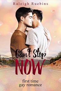 Baixar Can’t Stop Now (English Edition) pdf, epub, eBook