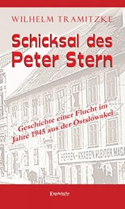 Baixar Schicksal des Peter Stern: Geschichte einer Flucht im Jahre 1945 aus der Ostslowakei (German Edition) pdf, epub, eBook