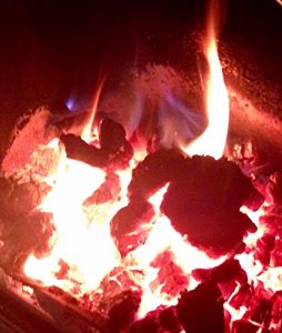 Baixar Emily Bronte’s Burning Secret (English Edition) pdf, epub, eBook