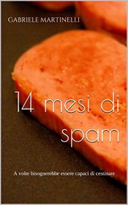 Baixar 14 mesi di spam: A volte bisognerebbe essere capaci di cestinare (Italian Edition) pdf, epub, eBook