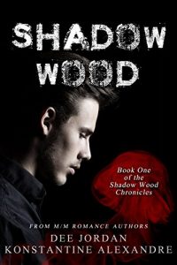 Baixar Shadow Wood: Book One of the Shadow Wood Chronicles (English Edition) pdf, epub, eBook