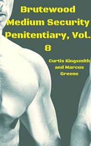 Baixar Brutewood Medium Security Penitentiary, Vol. 8: In Turkish Prison, Showertime Is Like a Bathhouse; One Wily Parolee Gets Drained; Samoan Prison Sex (English Edition) pdf, epub, eBook