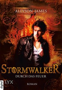 Baixar Stormwalker – Durch das Feuer (Stormwalker-Reihe 2) (German Edition) pdf, epub, eBook
