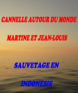 Baixar SAUVETAGE EN INDONESIE (CANNELLE AUTOUR DU MONDE t. 7) (French Edition) pdf, epub, eBook