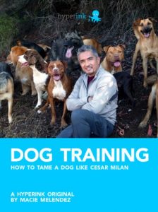 Baixar Dog Training: How to Tame a Dog Like Cesar Milan (English Edition) pdf, epub, eBook