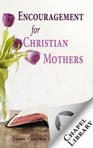Baixar Encouragement for Christian Mothers (English Edition) pdf, epub, eBook