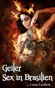 Baixar Geiler Sex in Brasilien (German Edition) pdf, epub, eBook