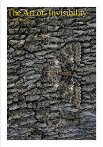 Baixar Secrets Of Successful Invisibility: Effective Ways Become Invisible To Others Through Practical Skills of Mind And Body (English Edition) pdf, epub, eBook