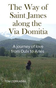 Baixar The Way of Saint James along the Via Domitia: A travel guide and a journey of love from Oulx to Arles (English Edition) pdf, epub, eBook